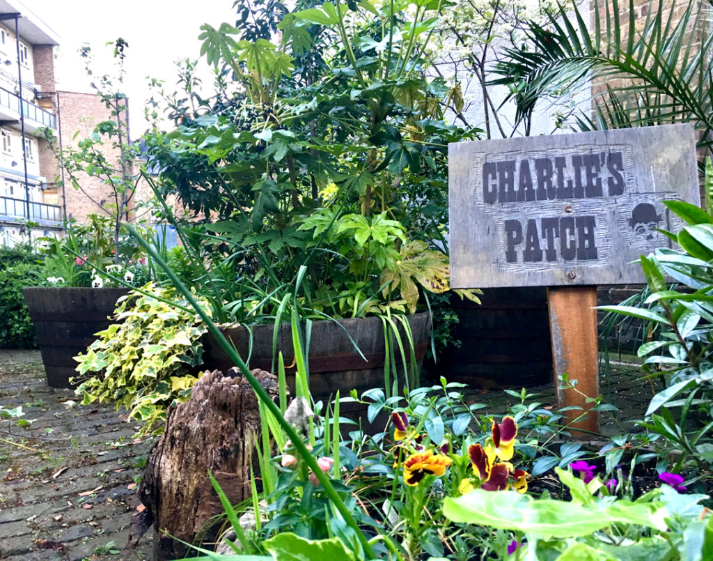 Charlie's Patch, Kennington