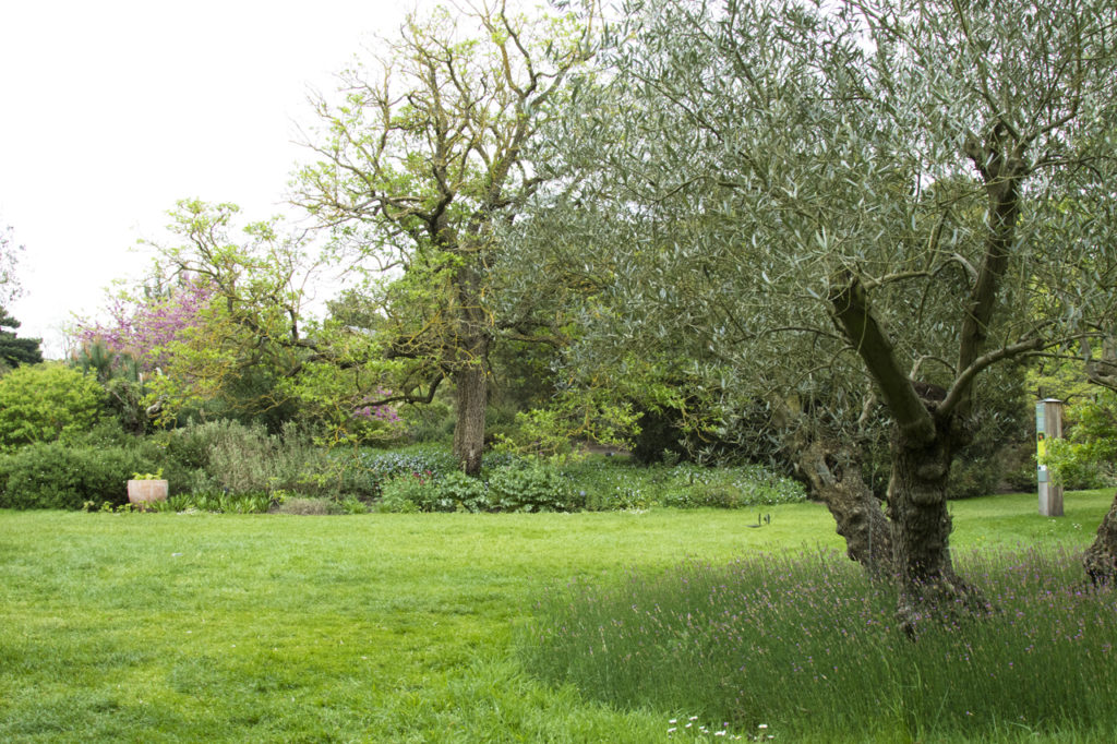 Mediterranean garden, Kew Gardens