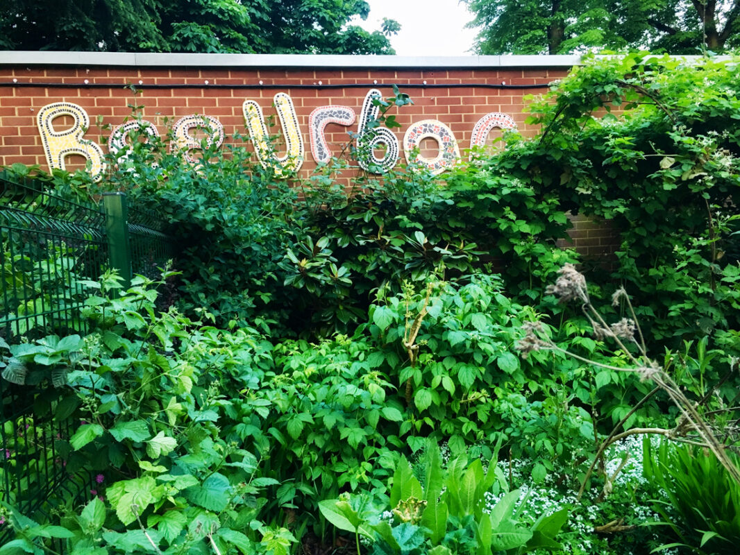 Bee Urban, Kennington Park in spring