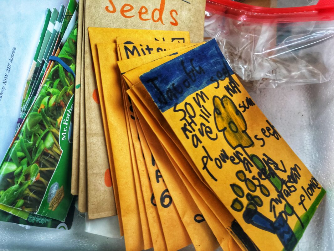 Yellow envelops containing seeds.