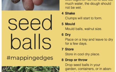 How to make seed balls