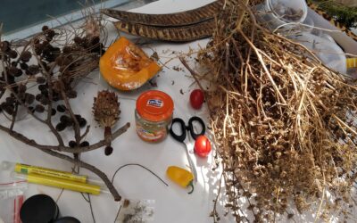 Reflections on the Seed Saving Workshop