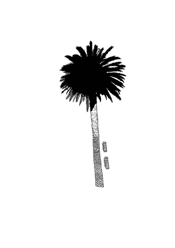 A drawing of a palm tree.
