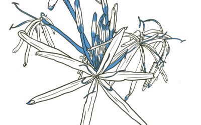 Launching the Water Stories website